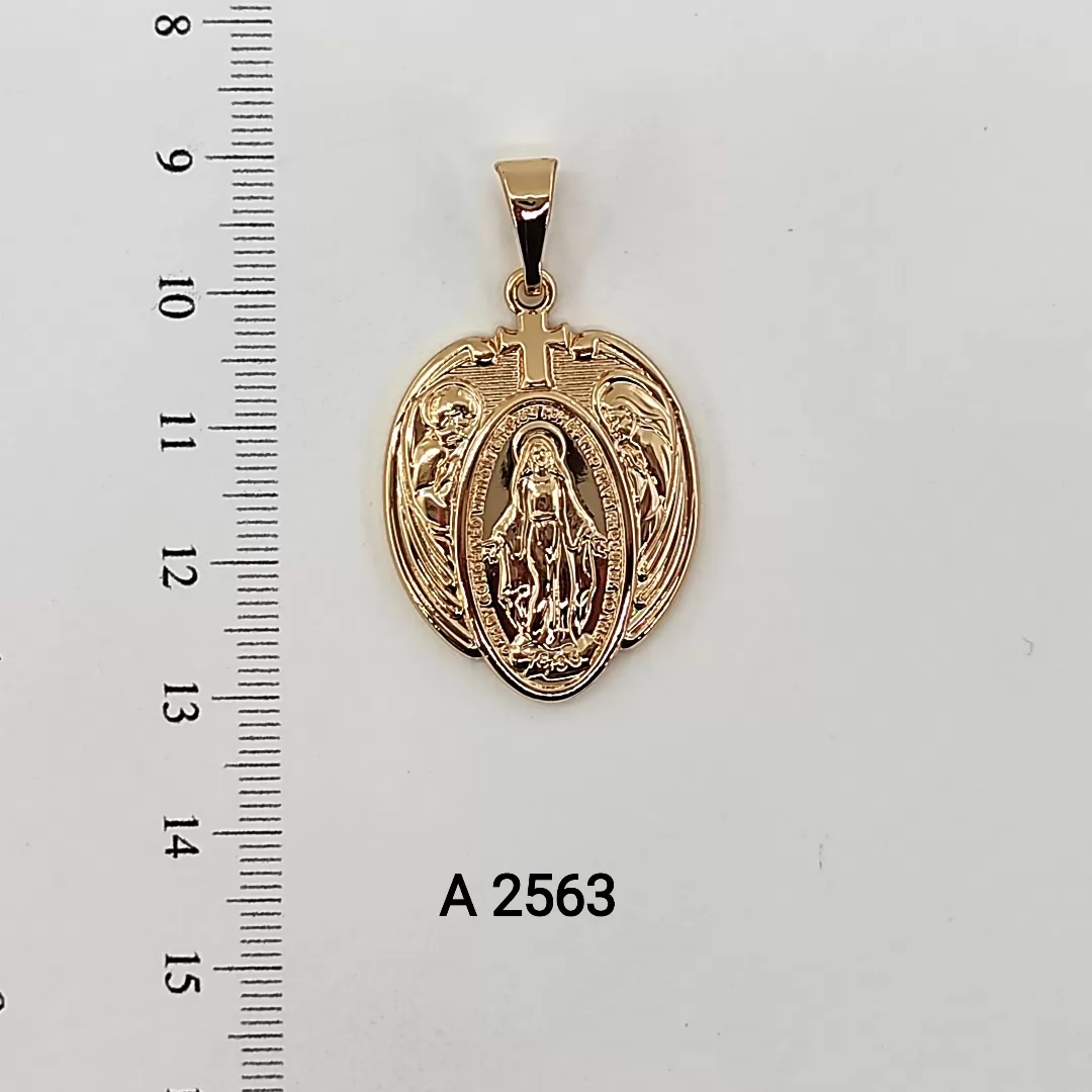 A 2563